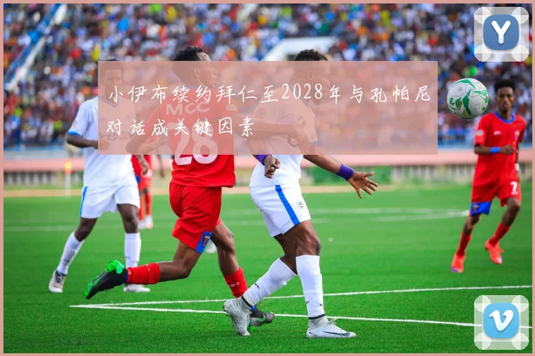 小伊布续约拜仁至2028年与孔帕尼对话成关键因素
